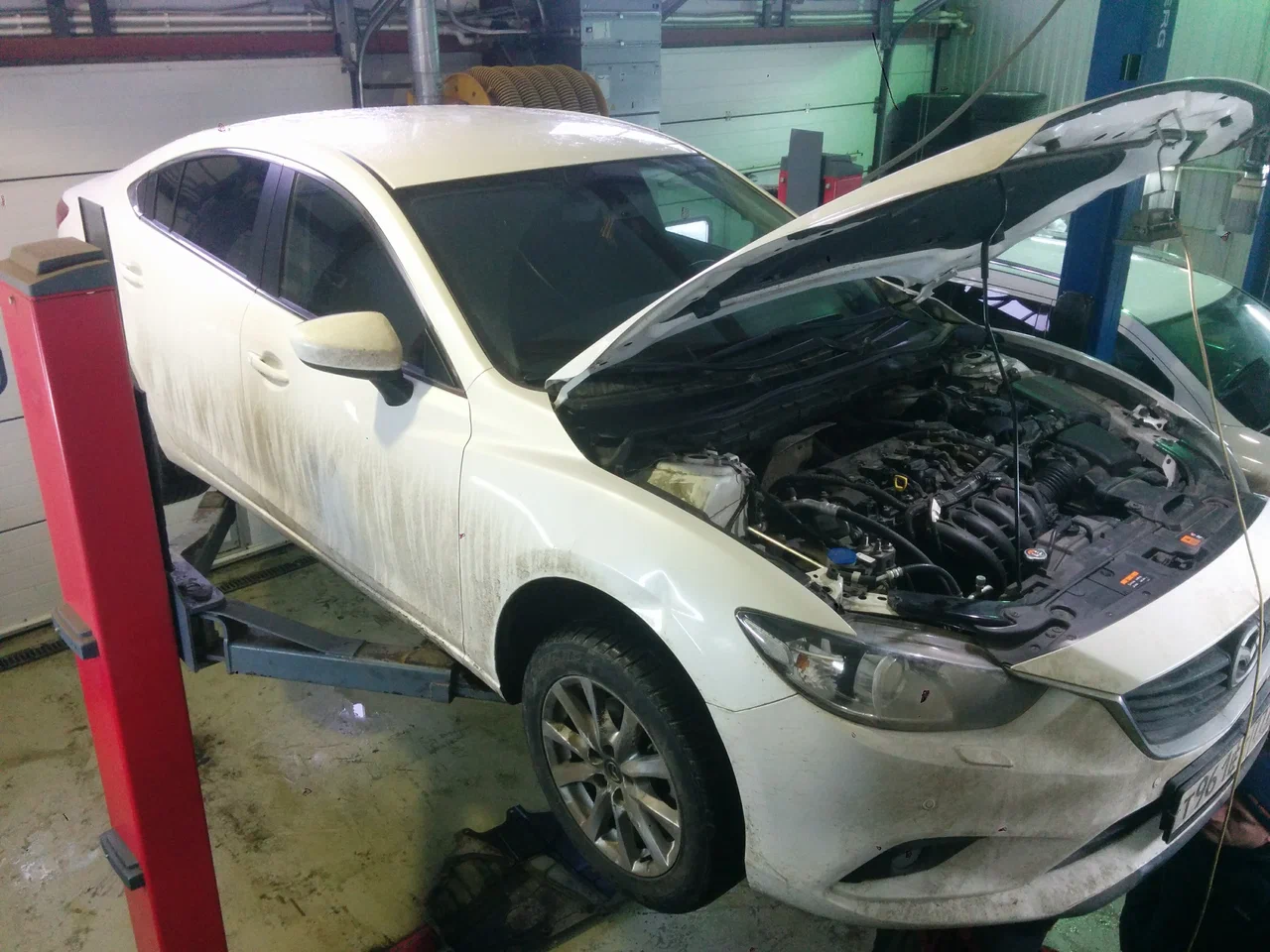 Автосервис, автотехцентр СТОРА